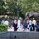 Families enjoy a day out at the zoo in the Provincial Capital