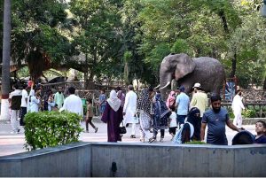Families enjoy a day out at the zoo in the Provincial Capital
