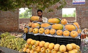 A vendor sells seasonal fruit papaya from his cart at Khayam Chowk.