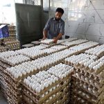 A shopkeeper arranging egg's crates at his shop at Muslim bazaar