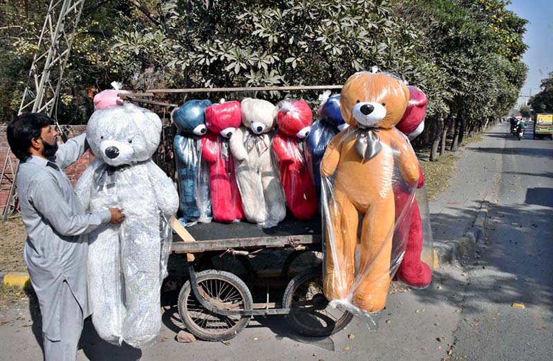 Colourful Teddy Bear Display Draws Customers to Handcart Vendor on Wahdat Road