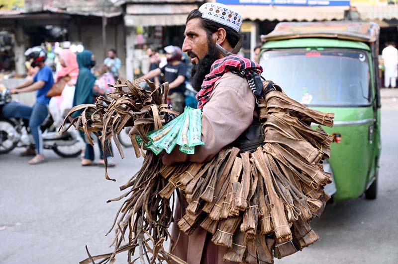 A street vendor sells tree twigs (Dandasa), traditionally used as a natural teeth-cleaning, near Delhi Gate