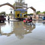 A view of stagnant sewage water accumulated in front of new anaj mandi gate needs the attention of the concerned authorities