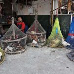 A vendor waits for customers while selling roosters and country hens outside Delhi Gate in the provincial capital