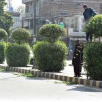 PHA staff are trimming plants on the green belt along the main road in Allama Iqbal Town