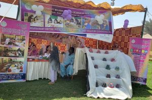 Women entrepreneurs, including women with disabilities, showcase their products and skills at the Women’s Economic Empowerment and Market Linkage Exhibition organized by Bedari at the District Malir Football Ground, Memon Goth.