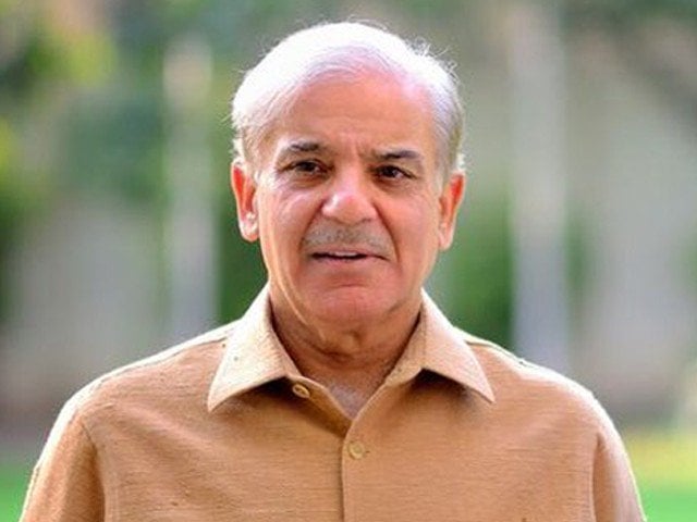 Govt actively pursuing measures to promote tourism: PM