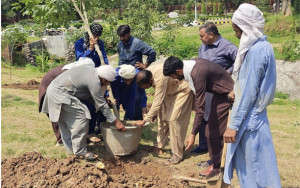 CDA launches tree plantation drive to make Islamabad greener