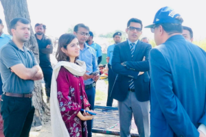 CDA removes 58 illegal structures along Expressway