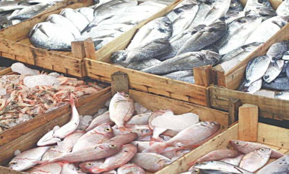 Fish and Meat Exports Grow in First Two Months of Pakistan's FY27