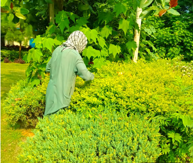 Report: PHA continues efforts to maintain beauty of city parks