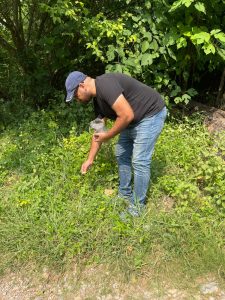 Native seed balls offer grassroots push for Margalla regeneration