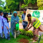 Tree plantation drive