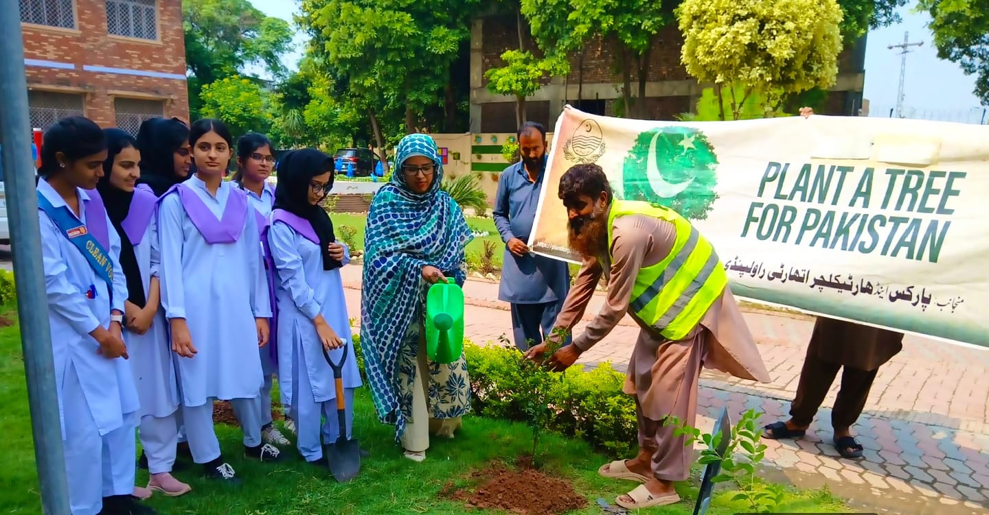 Tree plantation drive