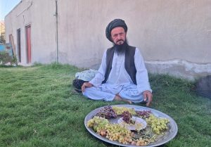 Haji Abdul Manan’ s orchard