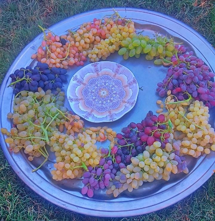 Haji Abdul Manan’ s orchard
