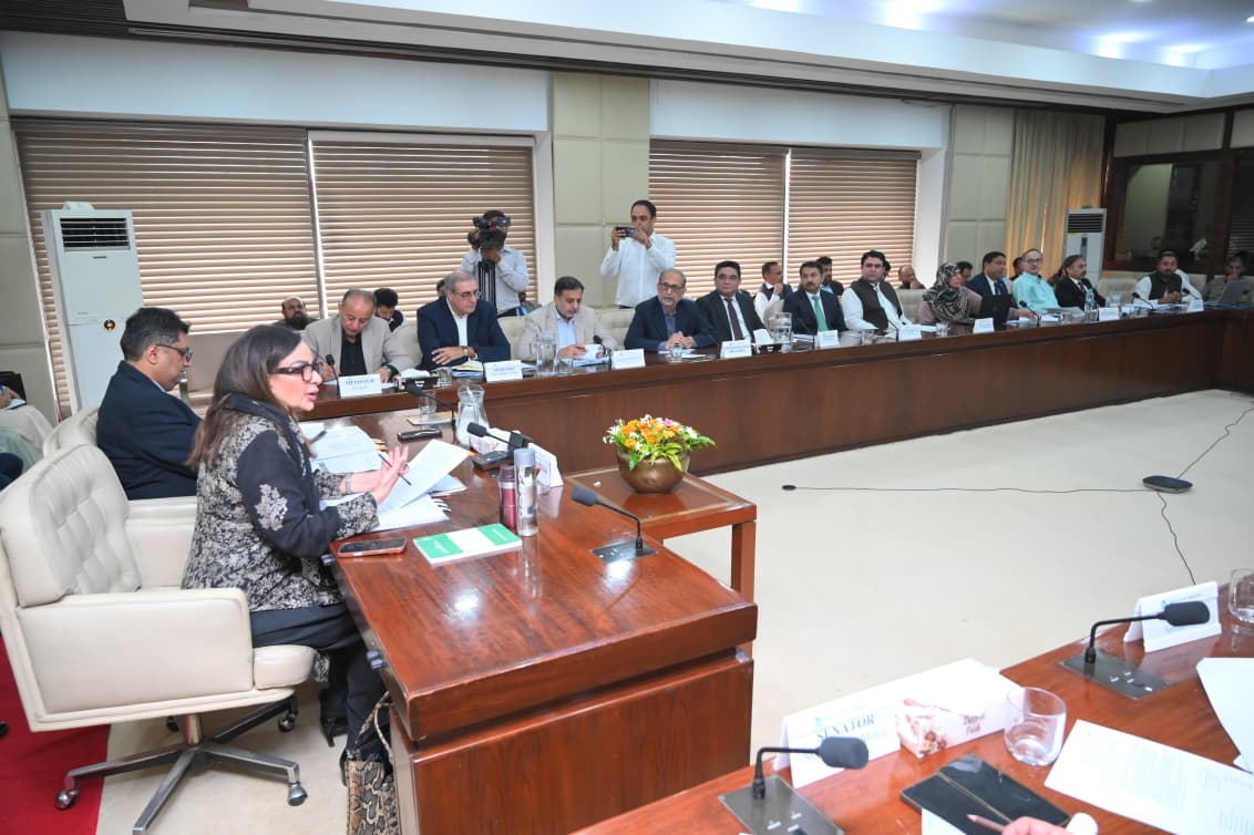 Musadik Malik calls for integrated system to monitor glaciers, climate data