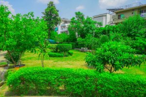 PHA intensifies maintenance of Al-Furqan Park