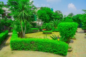 PHA intensifies maintenance of Al-Furqan Park