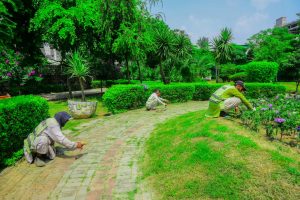 PHA intensifies maintenance of Al-Furqan Park