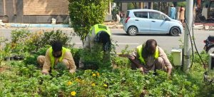 CDA steps up plantation drive in Islamabad