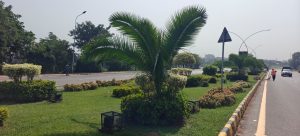 CDA steps up plantation drive in Islamabad