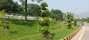 CDA steps up plantation drive in Islamabad