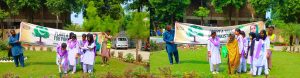 Tree plantation drive