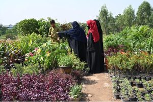 Women nature enthusiasts select seasonal outdoor plants for their home garden at a roadside nursery along the Expressway.