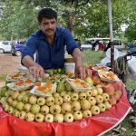 A vendor displaying Guava fruits to attract the customers at his roadside setup in Aabpara
