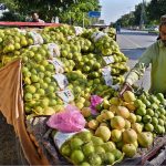 A roadside vendor display seasonal grapefruits and sweet limes—both popular varieties of citrus fruit to attract customers on roadside in the federal capital
