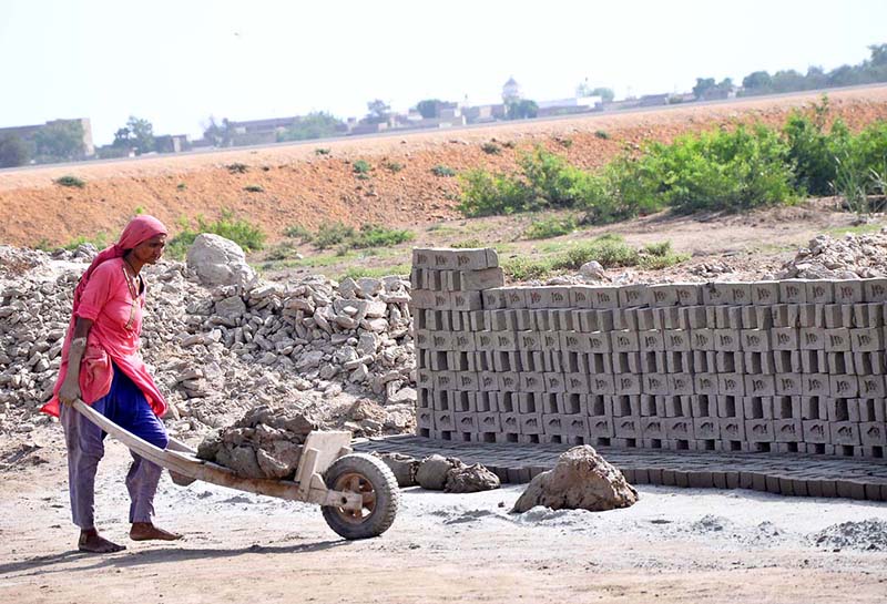 A lady labourer pushing hand cart loaded with mud for preparing bricks at brick kiln, Tando Hyder