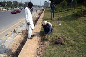 CDA workers tend to the green belt along Srinagar Highway in the Federal Capital.