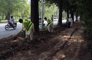 CDA workers prepare a green belt for sapling plantation in Sector F-6 of the Federal Capital.