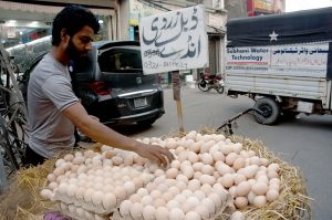 Following a slightly change the weather, a vendor displays desi eggs in the basket of his bicycle by the roadside to attract customers in the provincial capital.
