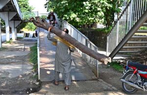 A person on the way carrying a huge wooden log on his shoulder for domestic use as fuel.
