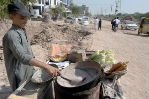 A man sells vegetable and flower seeds along the roadside at Khanna Pul