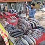 A vendor displaying fish to attract the customers at his roadside setup