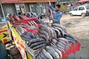 A vendor displaying fish to attract the customers at his roadside setup