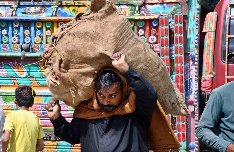 A labourer on the way while carrying heavy vegetable sack after unloading from transport at vegetable market