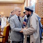 Prime Minister Muhammad Shehbaz Sharif meets members of the Area Representative Development Council
