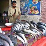 A fish vendor cuts fresh fish for customers at his stall near Railway Chowk as demand for fish rises in the city