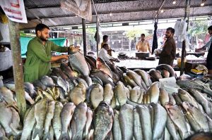 A vendor displaying fish to attract the customers at his roadside setup