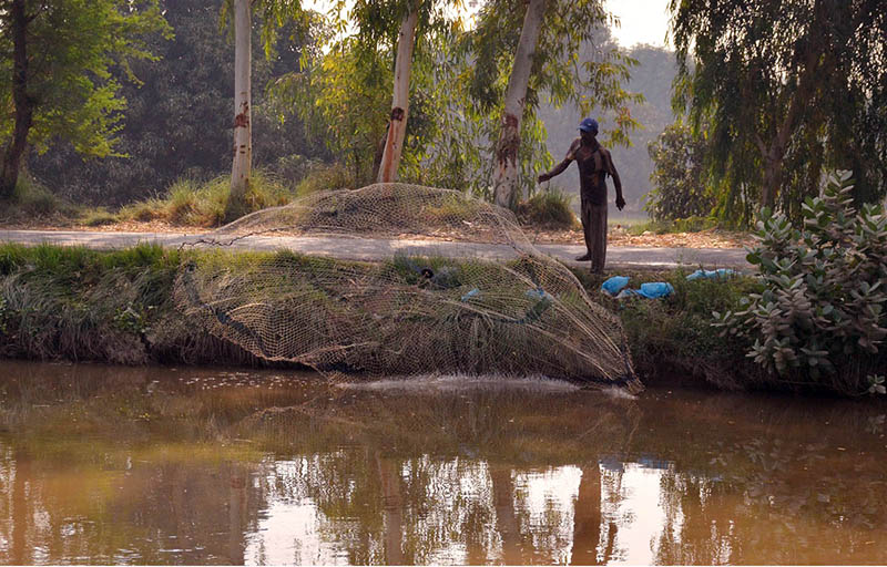 A man throws fishing net into the Noubahar Canal to catch fish