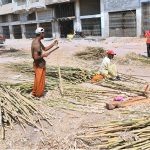 Labourers clean and prepare large bamboo poles at their workplace for delivery to the timber market
