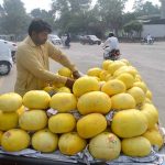 A vendor selling Melon on his cart at Khayyam Chowk