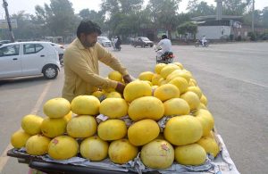A vendor selling Melon on his cart at Khayyam Chowk