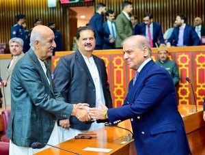 Prime Minister Muhammad Shehbaz Sharif meets parliamentarians in a session of the National Assembly