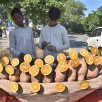 A boy displays roasted sweet potatoes (Shakarkandi) to attract the customers at roadside