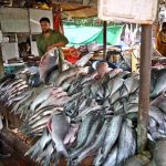 A vendor displaying fish to attract the customers at H-9 Weekly Bazaar in Federal Capital